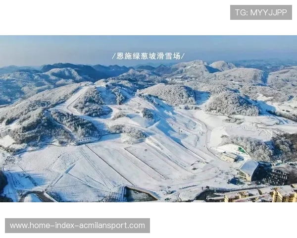 PSV中前场速度碾压对手,技术与速度的完美结合 PSV中前场速度碾压对手,技术与速度的完美结合