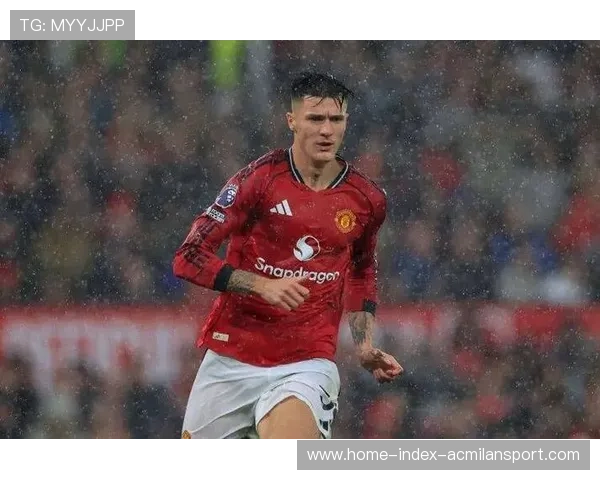 曼联新星谢什科带领球队迎接挑战，争四压力山大