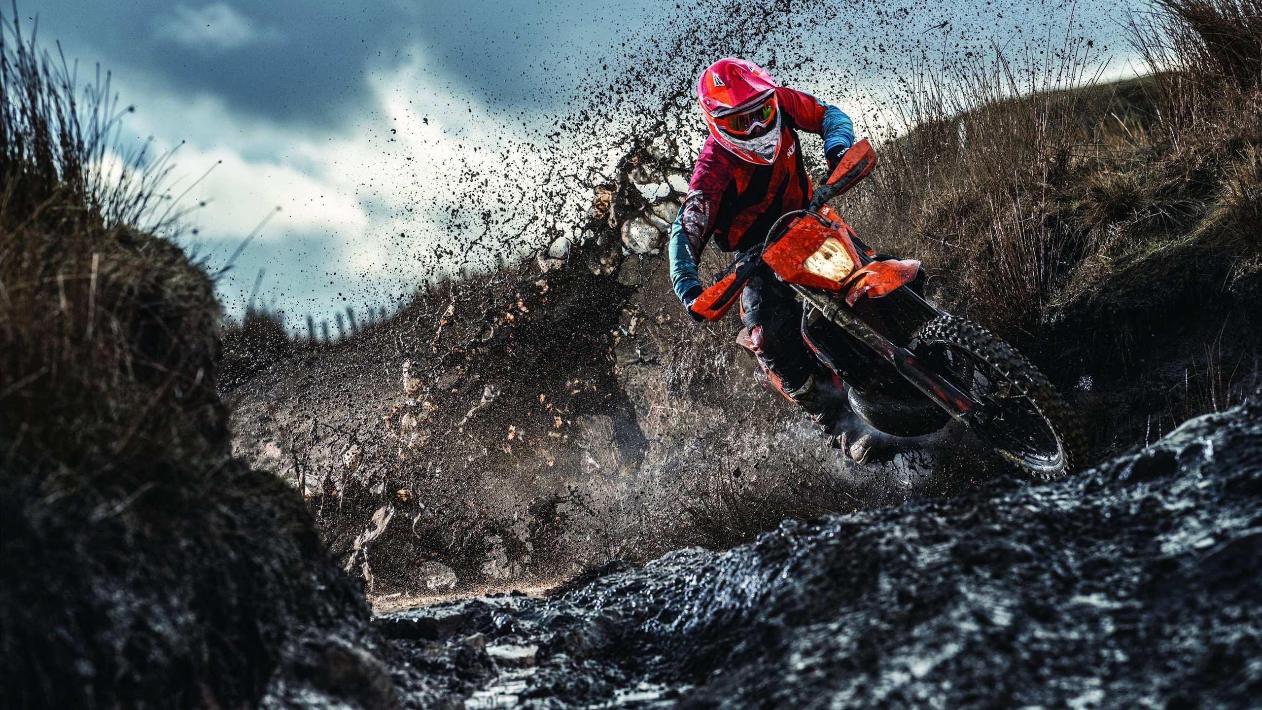 “阿根廷美洲狮队:橄榄球冠军锦标赛的强力黑马”