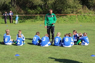 球队教练组是否借助VAR数据辅助赛后战术修复，球员 教练